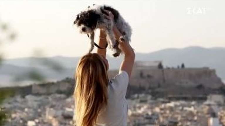 Ντορέττα Παπαδημητρίου: &quot;Είναι τόσα πολλά τα αδέσποτα, που μου φαίνεται αδιανόητο να αγοράσεις ένα σκυλί&quot;