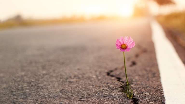 Τι είναι η ψυχική ανθεκτικότητα και γιατί όσοι την κατακτήσουν θα ζουν καλύτερα