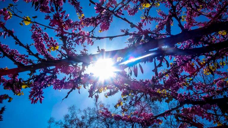 Καιρός: Ανεβαίνει και άλλο η θερμοκρασία σήμερα - Πού θα φτάσει ο υδράργυρος τους 28 βαθμούς