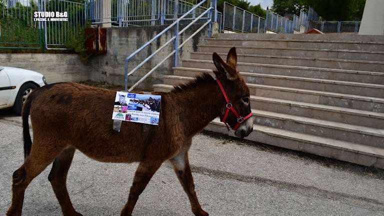 Αγρότης έφτασε στην κάλπη με άλογα και γαϊδούρια