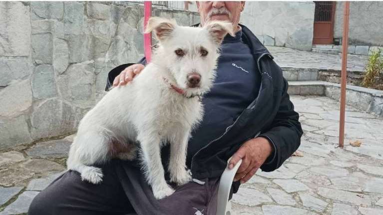 Φρίκη στη Φλώρινα: Ο Μπλάνκο &quot;κακοποιήθηκε με αγριότητα&quot; - &quot;Υπάρχει ομερτά είναι συγγενείς, είναι γνωστοί&quot;