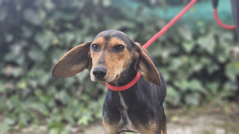 Η Κρινιώ όλο τρέμει - Από τον φόβο και από τους δισταγμούς - Μπορεί να χωρέσει ανάμεσα στα δύο σου χέρια