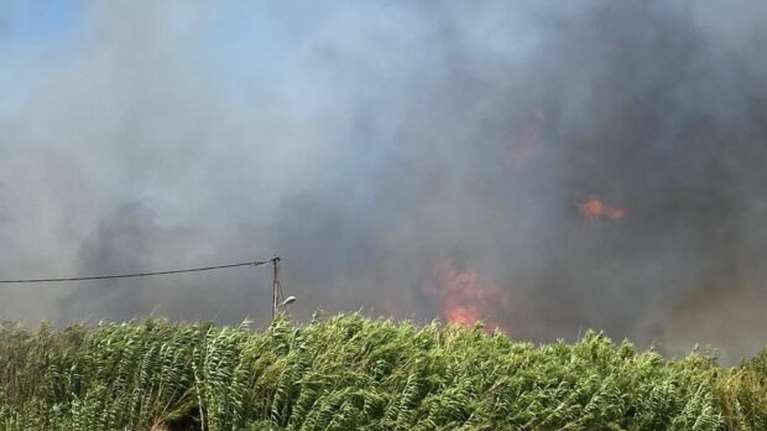 Φωτιά σε δασική έκταση στη Ρόδο