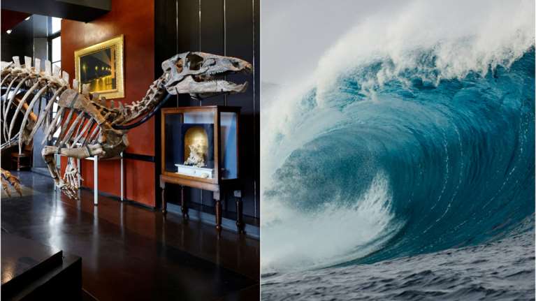 Ο αστεροειδής που εξαφάνισε τους δεινόσαυρους προκάλεσε παγκόσμιο τσουνάμι αρχικού ύψους 1.500 μέτρων