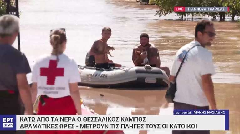 Μαθήματα ανθρωπιάς στη Γιάννουλη: Η στιγμή που δύο αδέρφια σώζουν τρία γατάκια με τη βάρκα τους [Εικόνες- Βίντεο]