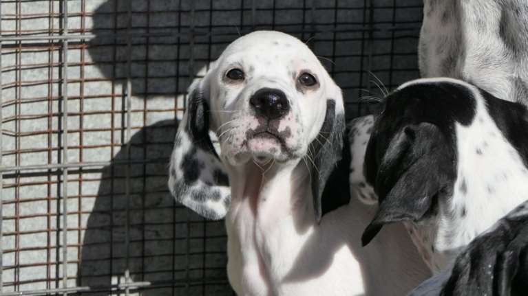 O Ορλάντο μαζί με τη μαμά του και τα τέσσερα αδέρφια του ζούσαν σε μια σπηλιά στην επαρχία