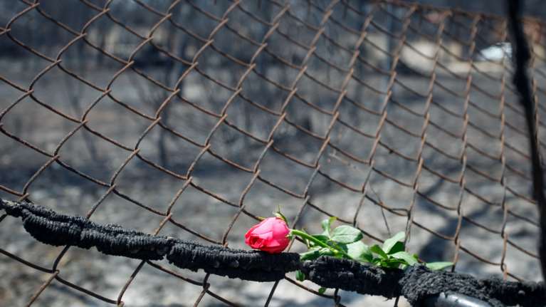 Τραγωδία στο Μάτι:  "Αν είχαμε ζήσει πόλεμο, κάπως έτσι θα έμοιαζε"