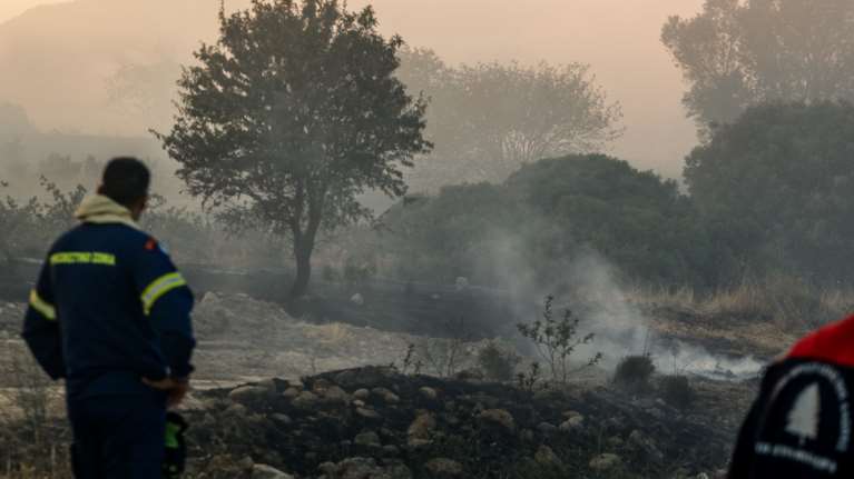 Φωτιά στη Μεσσηνία: Συναγερμός στην Πυροσβεστική για πυρκαγιά στη Χρυσοκελλαριά