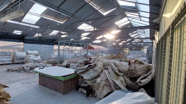 Μεγάλο κύκλωμα κοκαΐνης, εμποτισμένης σε... δέρματα βοοειδών -  Ερευνα σε αποθήκη στα Σπάτα [εικόνες]