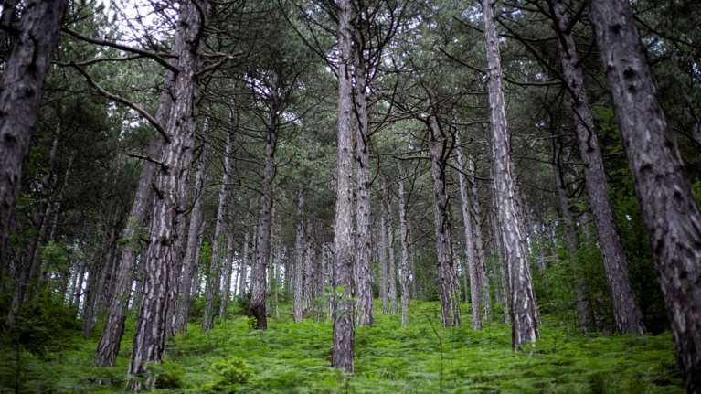 Ο Όλυμπος κηρύσσεται Εθνικό Πάρκο και φυσικό εργαστήριο βιώσιμης ανάπτυξης