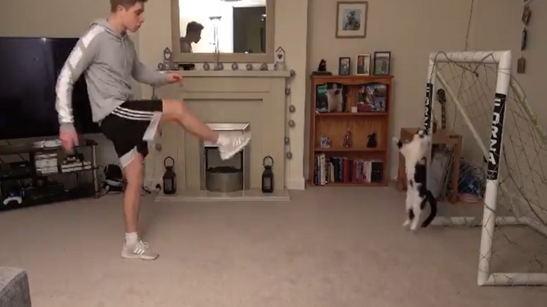 Viral η γάτα-τερματοφύλακας - Aπέδειξε ότι έχει μεγάλο ταλέντο! [Βίντεο]