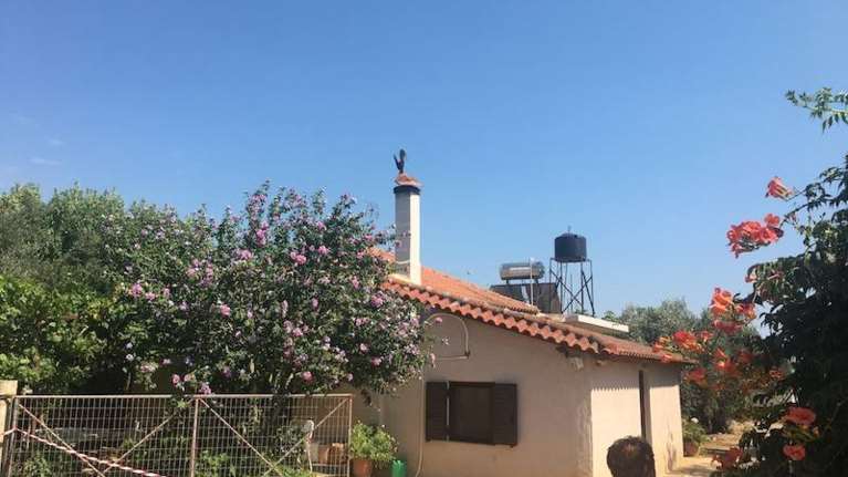 Εγκλημα στα Φιλιατρά: Ο 34χρονος αρνείται την ενοχή του - Μυστήριο με τα κίνητρα του δράστη