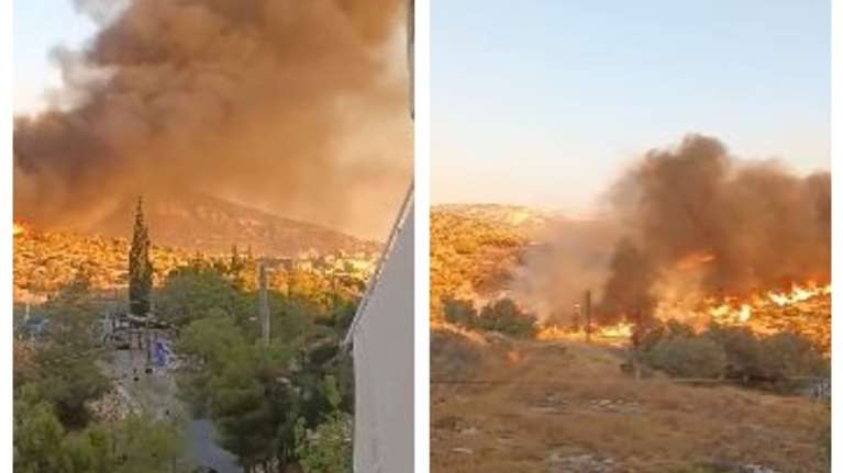 Φωτιά στην Τερψιθέα Γλυφάδας: Εμπρησμό καταγγέλλει ο δήμαρχος -  "Δύο νεαροί έβαλαν τη φωτιά, τους κυνηγήσαμε"