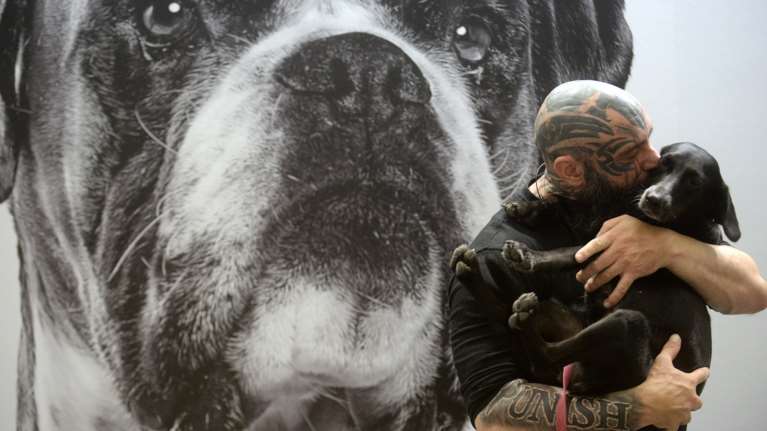 Η Ομοιοπαθητική στην Κτηνιατρική: Τι ακριβώς είναι, πώς λειτουργεί, γιατί χρειάζονται δύο