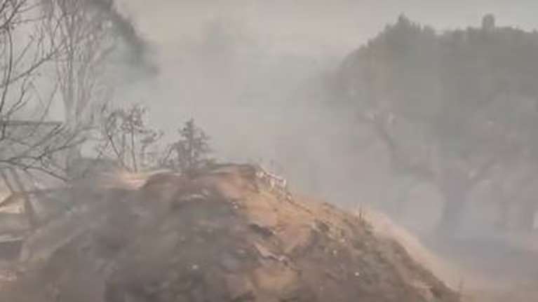 Φωτιά Αττική: &quot;Ακουγα τα ζώα μου να βελάζουν και να πεθαίνουν, ντρέπομαι που είμαι Έλληνας&quot; - Σε απόγνωση κτηνοτρόφος