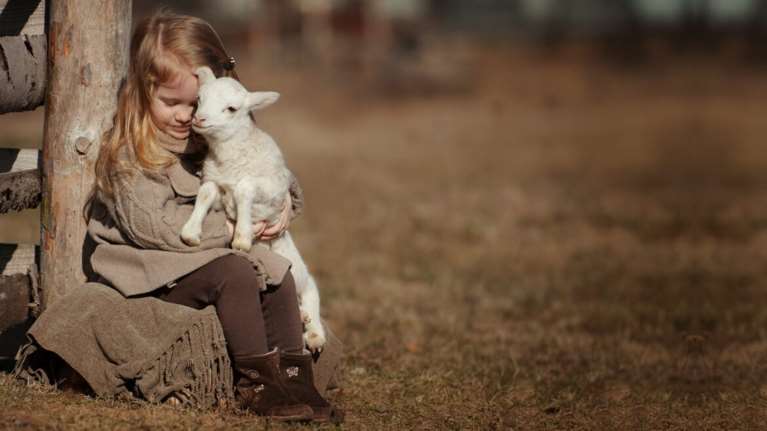 Η Τσικνοπέμπτη είναι γιορτή - Για τα ζώα, είναι θυσία: Μπορούμε να γιορτάσουμε με τρόπο που σέβεται τη ζωή;