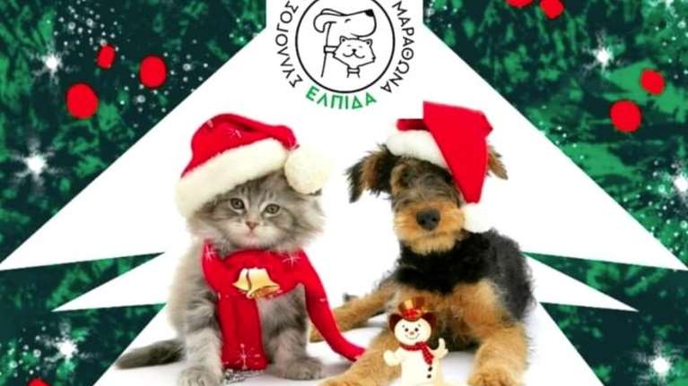 Το Σάββατο το μεγάλο bazaar για τα αδέσποτα από τον Σύλλογο Ζωόφιλων  Μαραθώνα &quot;Η Ελπίδα&quot;