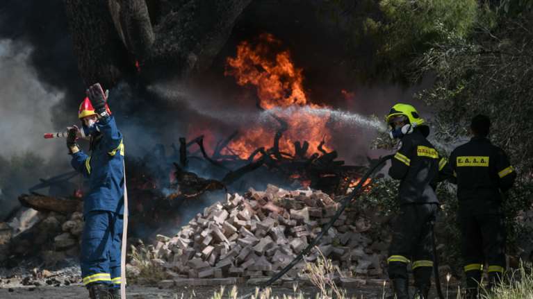 Πυρκαγιά σε δασική περιοχή στην Άνω Καλλιθέα Αχαΐας