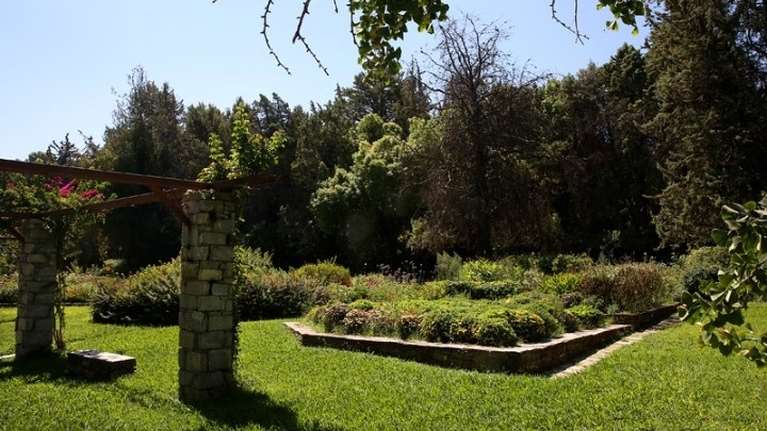 Βοτανικός Κήπος Διομήδους: Ένας επίγειος παράδεισος - Kαταφύγιο για πουλιά και ζώα του δάσους -  Ο μεγαλύτερος στην Ελλάδα