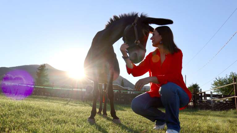 Το ERTFLIX αγαπά τα ζώα και το δείχνει