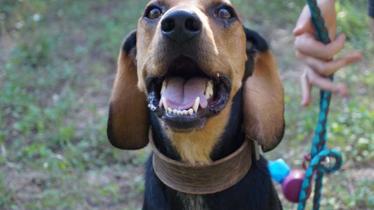 Κάθε φορά που τον επισκέπτονταν περίμενε με ανυπομονησία, όχι πια: Δεν θέλουμε να τον λυπηθείτε