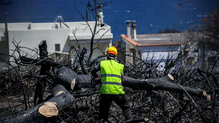 Φωτιά στην Εύβοια: Τι είναι οι &quot;πριονάδες&quot; και πώς συνέβαλαν στον περιορισμό της πυρκαγιάς