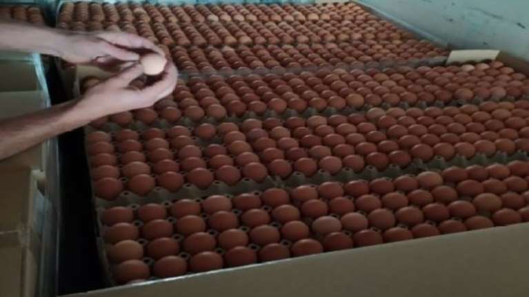 Μπλόκο σε μεγάλο φορτίο με 302.400 αυγά που θα έμπαιναν στην αγορά ενόψει Πάσχα