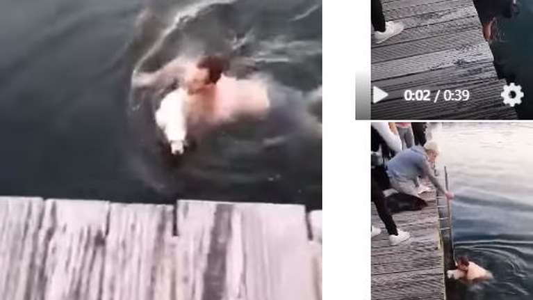 Συγκίνηση και χειροκροτήματα: Νεαρός βουτά στον Θερμαϊκό για να σώσει τυφλό σκύλο [βίντεο]