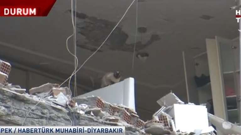 Σεισμός στην Τουρκία: Ειδικές δυνάμεις επιχειρούν να σώσουν παγιδευμένα κατοικίδια σε υπό κατεδάφιση κτίριο