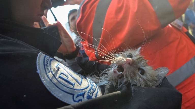 Συγκίνηση: Πυροσβέστες στο Κίεβο, σώζουν ένα γατάκι από τους πρωινούς βομβαρδισμούς με drone [εικόνες]