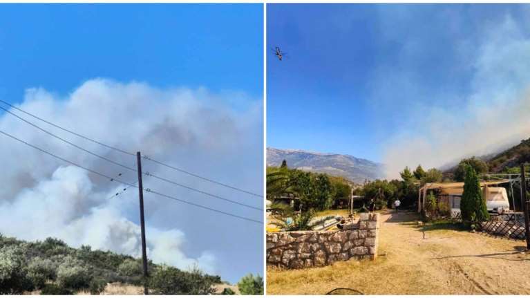 Φωτιά στη Βοιωτία: Νεκρός βοσκός που είχε πάει να σώσει τα ζώα του - Απειλούνται δύο οικισμοί