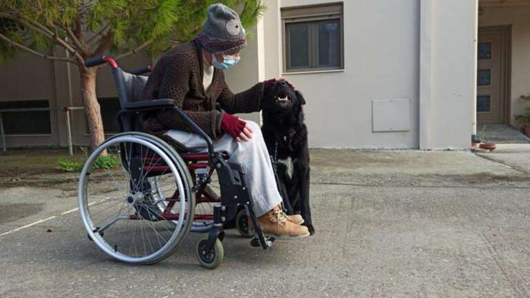 Η συγκινητική ιστορία του αδέσποτου και κακοποιημένου Ραμπί που έγινε συνοδοιπόρος ΑμΕΑ με αναπηρικό αμαξίδιο