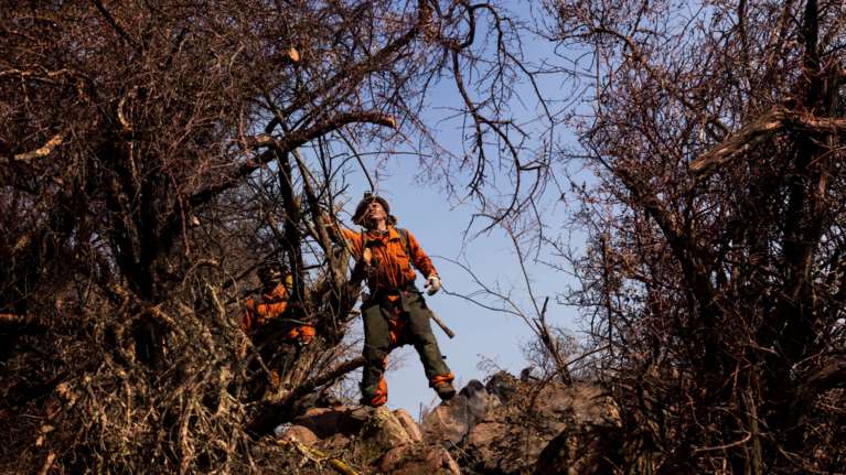Φωτιές: Στις ΗΠΑ για εκπαίδευση οι πρώτοι Έλληνες δασοκομάντος - Στο μέτωπο το καλοκαίρι του 2022