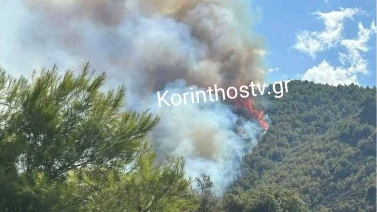 Κορινθία: Μάχη με τις φλόγες στα Ροζενά - Ενισχύθηκαν οι δυνάμεις - Πολύ ισχυροί άνεμοι στην περιοχή