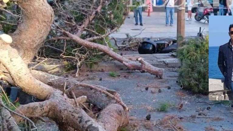 Βίντεο ντοκουμέντο: Η στιγμή που το δέντρο πέφτει και σκοτώνει τον 51χρονο στο Ηράκλειο Κρήτης
