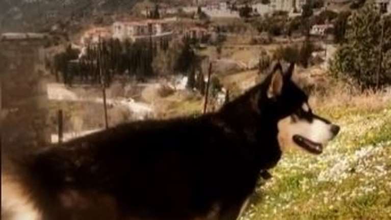 &quot;Δεν ήθελα να τον παραλάβω σε τρεις σακούλες κομματιασμένο&quot;- Τι απαντά ο κηδεμόνας του Ολιβερ σε όσους τον βάζουν στο &quot;κάδρο&quot;