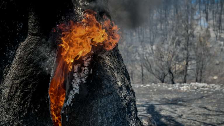 Πυρκαγιά στην Τανάγρα Βοιωτίας: Σε δύσβατο σημείο στη θέση Μαζαραίικα