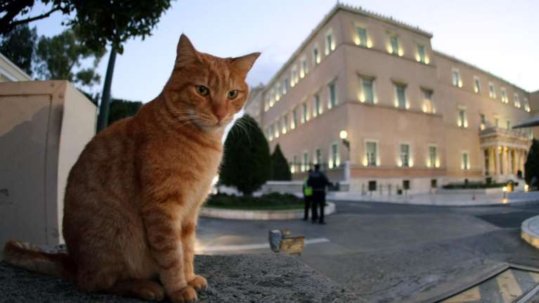 Επιπλέον μέτρα στη Βουλή μετά τα τρία κρούσματα κορονοϊού