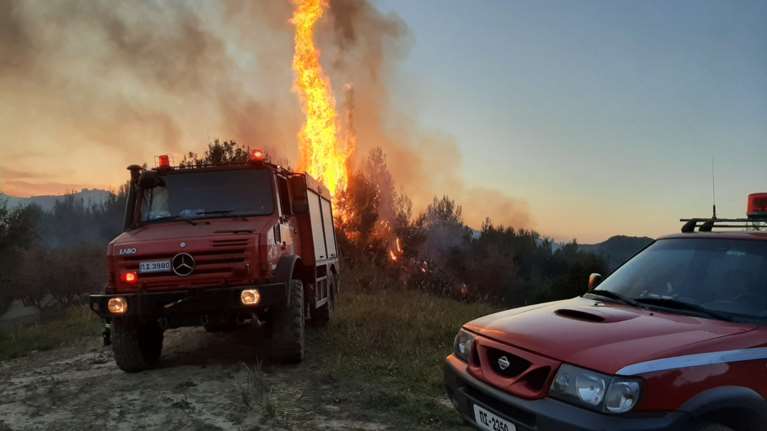 Συναγερμός στην Πυροσβεστική: Σε εξέλιξη φωτιά στη Χασιά - Δεν απειλούνται άμεσα κατοικίες