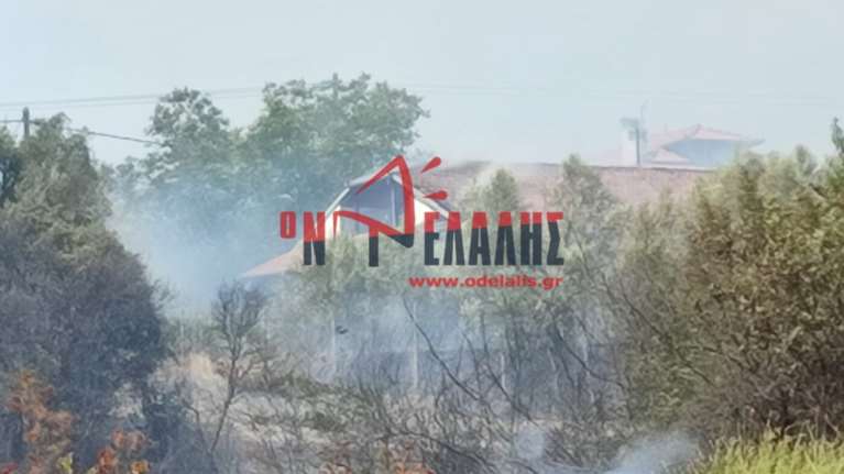 Εσβησε η φωτιά στην Πλάκα Λιτόχωρου - Παραμένουν οι δυνάμεις του Πυροσβεστικού Σώματος