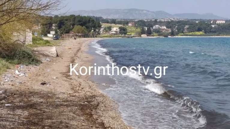 Κορινθία: Χελώνες καρέτα - καρέτα και πτηνά ξεβράστηκαν νεκρά στην παραλία Κεγχρεών [video – εικόνες]