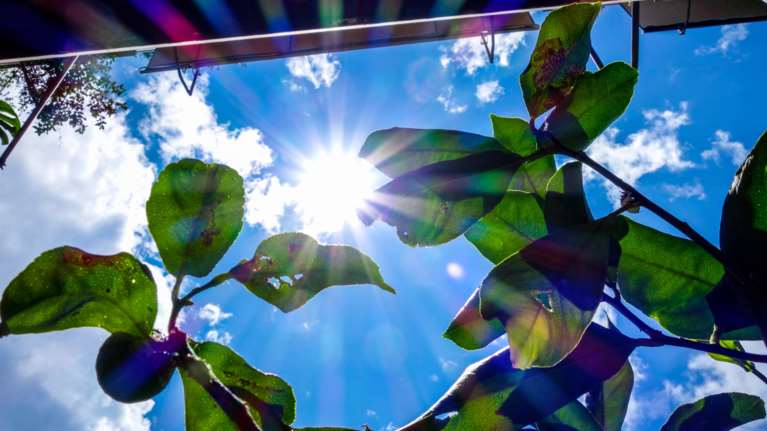 Αίθριος ο καιρός σήμερα με τη θερμοκρασία έως 26 βαθμούς - Αναλυτικά η πρόγνωση ανά περιοχή