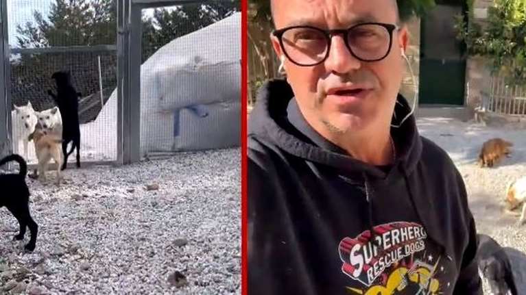 &quot;Έχω σώσει πάνω από 4.000 σκυλιά. Πούλησα ότι είχα και δεν είχα&quot;-Το καταφύγιο που στηρίζουν εθελοντές από όλο τον κόσμο