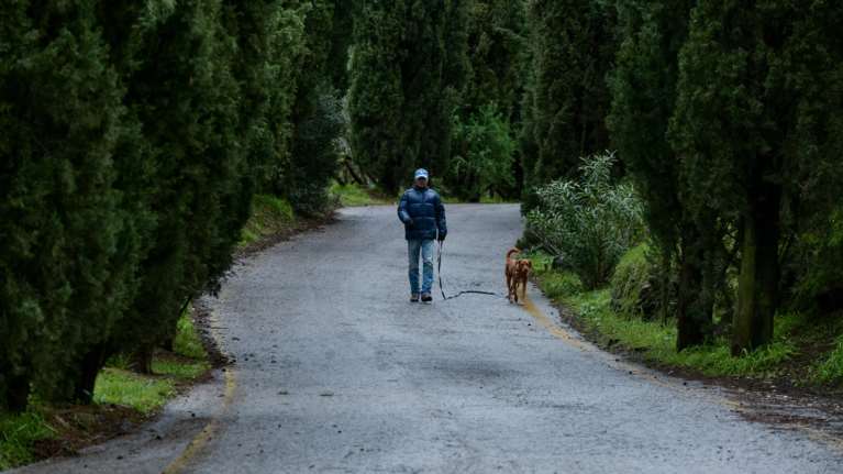 Γιατί είναι επικίνδυνα για τον σκύλο μας τα θεωρητικά άκακα άγανα