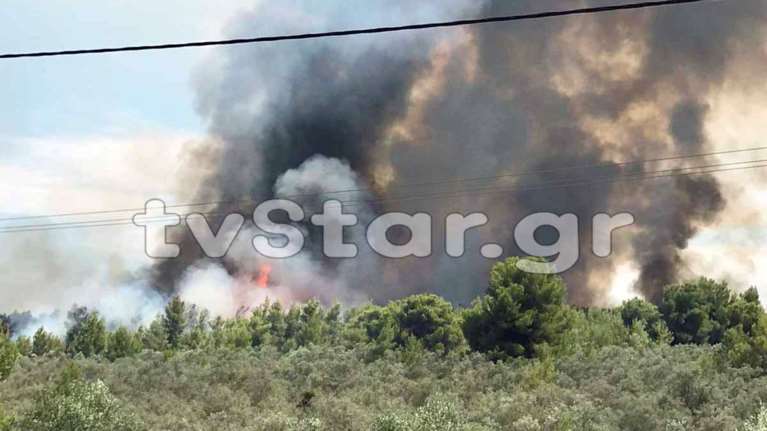 Σε εξέλιξη μεγάλη πυρκαγιά στον Θεολόγο: Σκληρός αγώνας των πυροσβεστών λόγω των ισχυρών ανέμων [Εικόνες- Βίντεο]