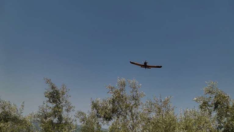 Σε ύφεση η φωτιά στον Αυλώνα