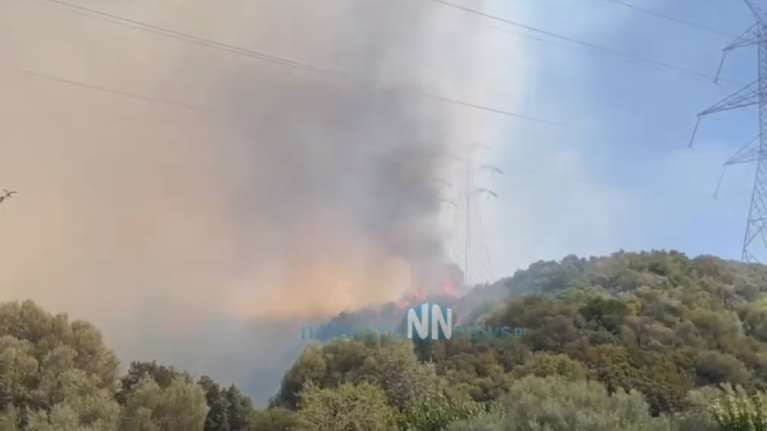 Φωτιά στη Ναύπακτο: Καλύτερη η εικόνα στο μέτωπο της Αφροξυλιάς [βίντεο]