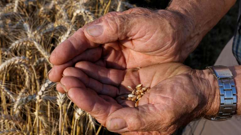 Εφιαλτική προειδοποίηση Γκουτέρες: Κίνδυνος παγκόσμιου λιμού λόγω του πολέμου στην Ουκρανία - "Ανησυχώ βαθιά"