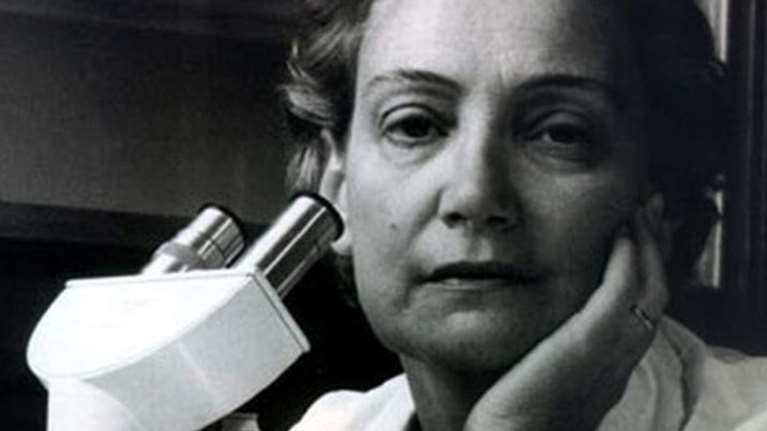 Αμαλία Φλέμινγκ: Η Ελληνίδα γιατρός που έκρυβε Εβραίους στην κατοχή και παντρεύτηκε έναν Νομπελίστα