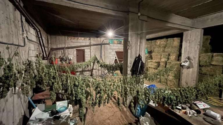 &quot;Ξέφυγαν&quot; στα Ζωνιανά: Κάτοικοι πετούσαν πέτρες και ξύλα στους αστυνομικούς σε μεγάλη επιχείρηση για ναρκωτικά [εικόνες]